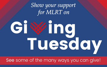 Giving Tuesday website